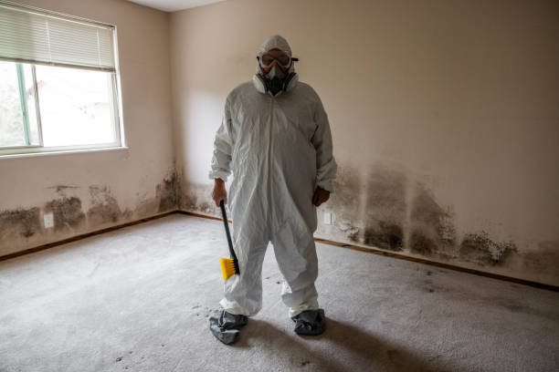 Best Commercial Mold Removal  in USA